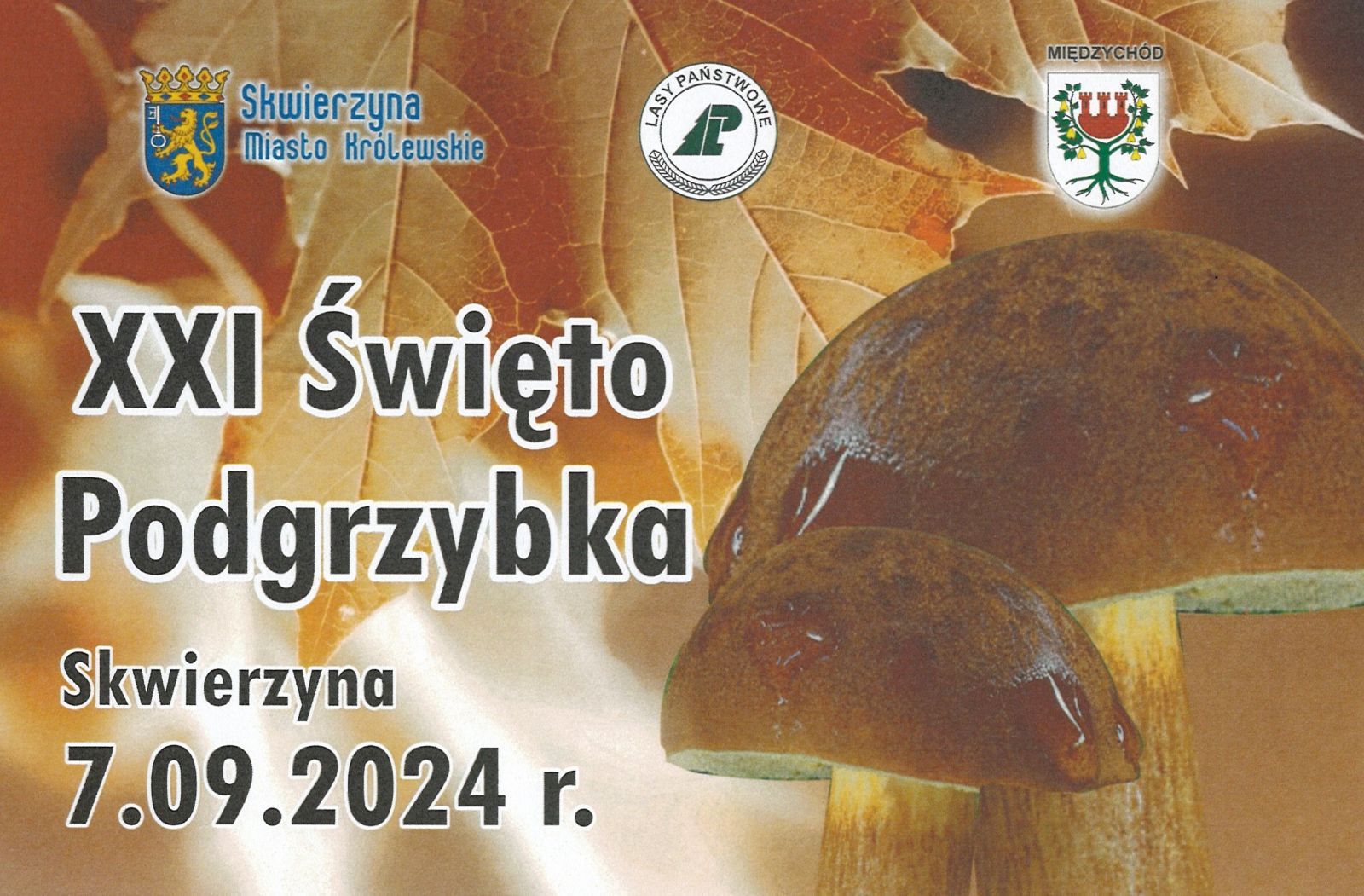 Święto Podgrzybka - Skwierzyna