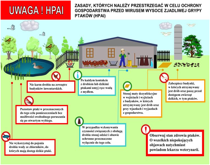 obrazek przedstawia schemat z zasadami, których należy przestrzegać w celu ochrony gospodarstwa przed wirusem HPAI